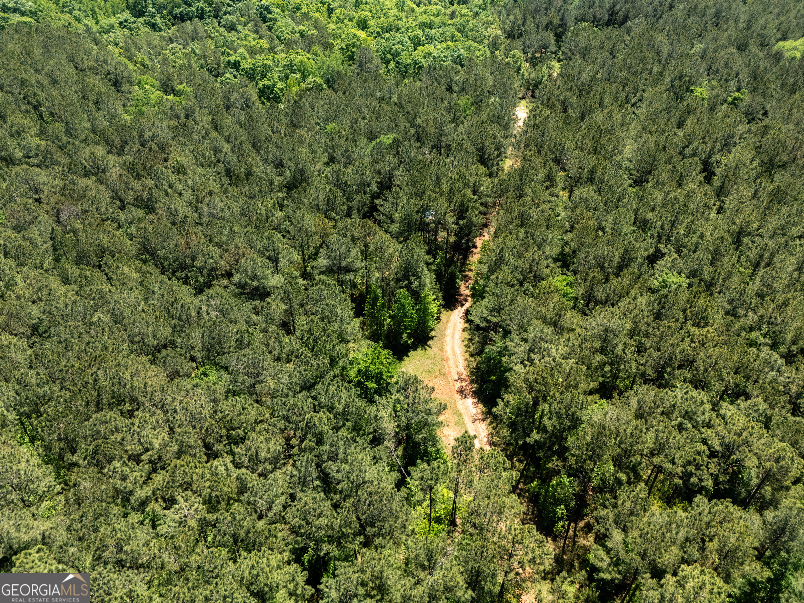 3678 Lundberg Road Washington GA 30673