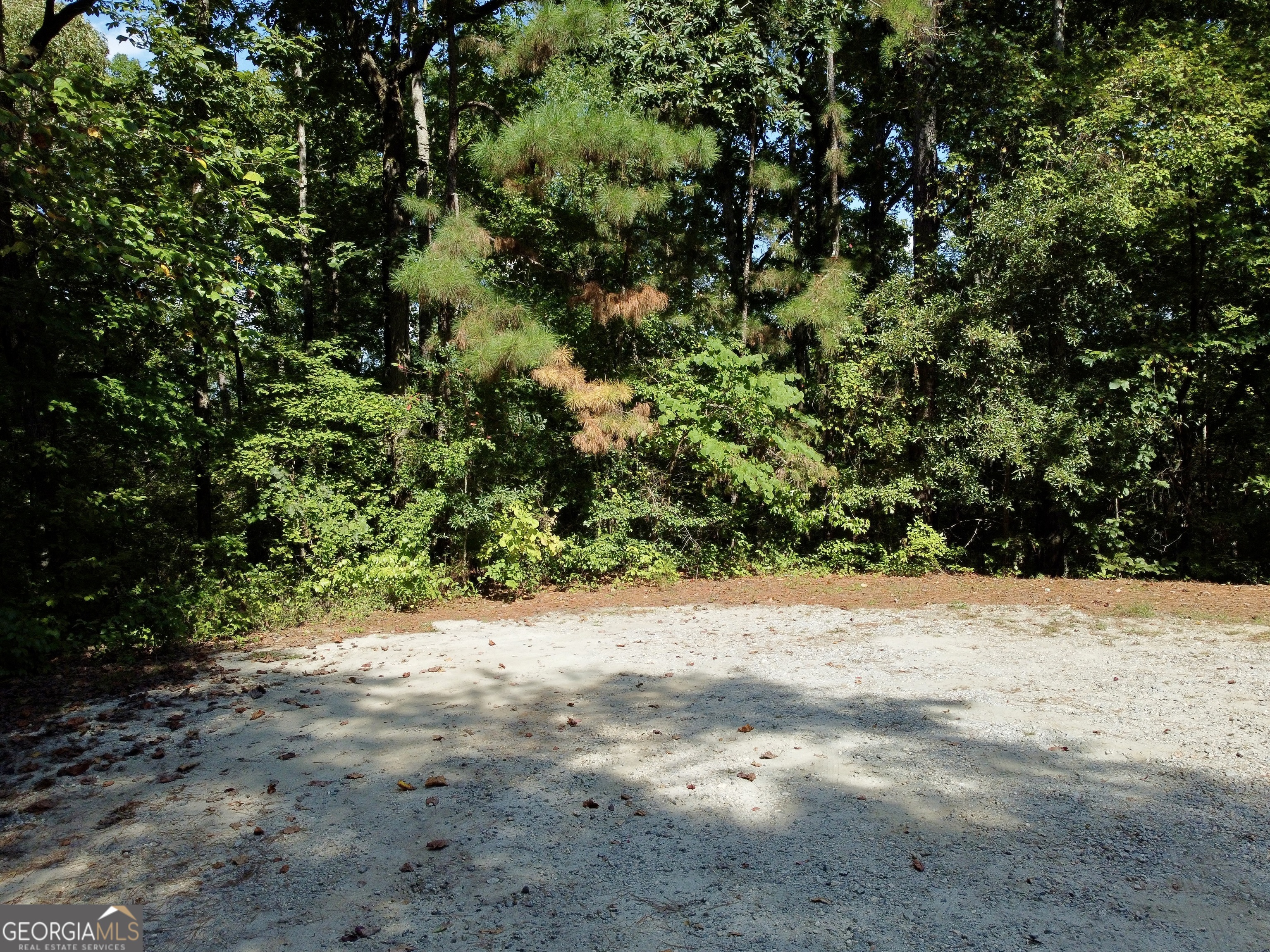 350 Hummingbird Drive Monticello GA 31064