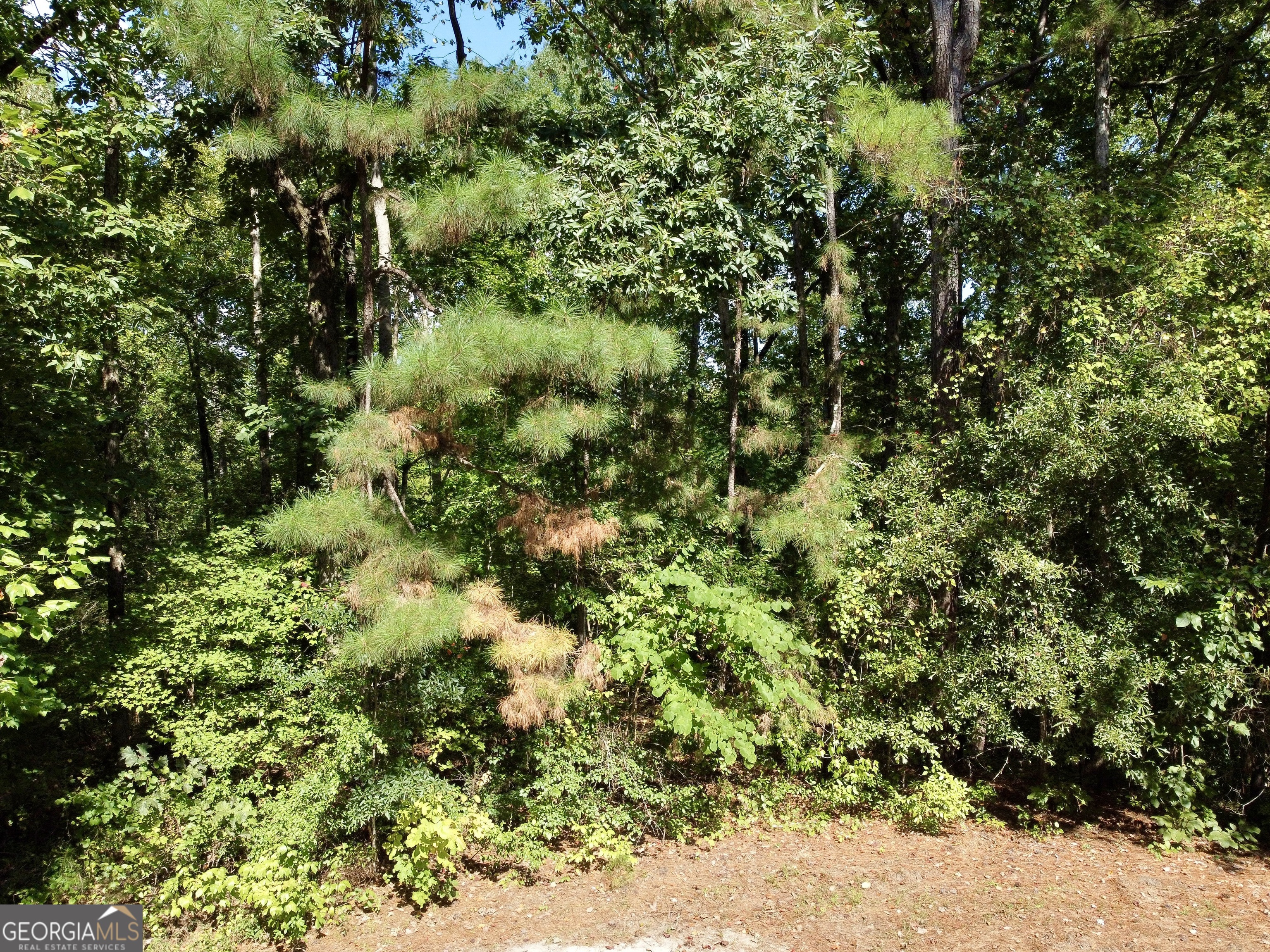 350 Hummingbird Drive Monticello GA 31064