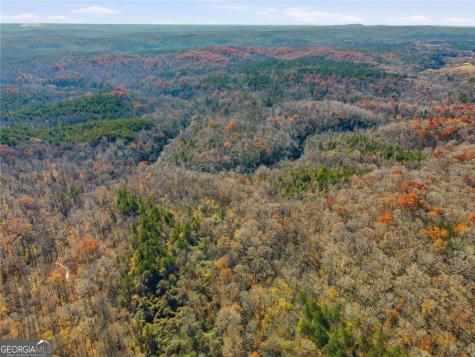 0 Lower Dowda Mill Road Jasper GA 30143