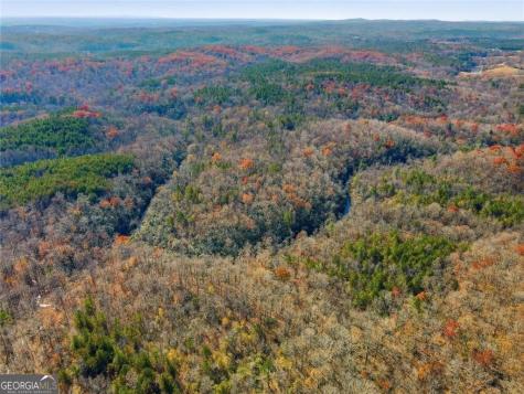 0 Lower Dowda Mill Road Jasper GA 30143