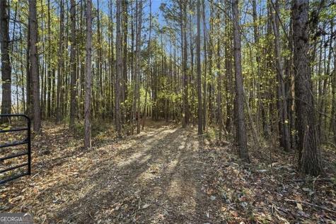0 Lower Dowda Mill Road Jasper GA 30143