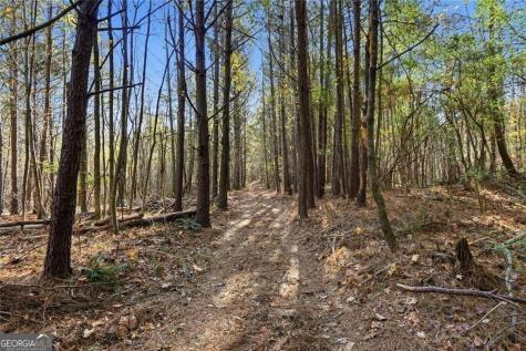 0 Lower Dowda Mill Road Jasper GA 30143