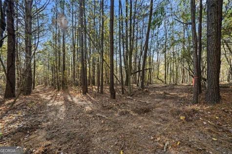 0 Lower Dowda Mill Road Jasper GA 30143