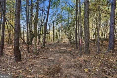 0 Lower Dowda Mill Road Jasper GA 30143