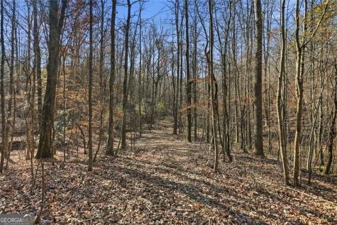 0 Lower Dowda Mill Road Jasper GA 30143