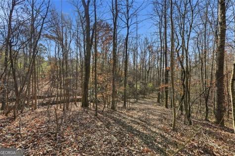 0 Lower Dowda Mill Road Jasper GA 30143