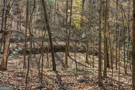 0 Lower Dowda Mill Road Jasper GA 30143