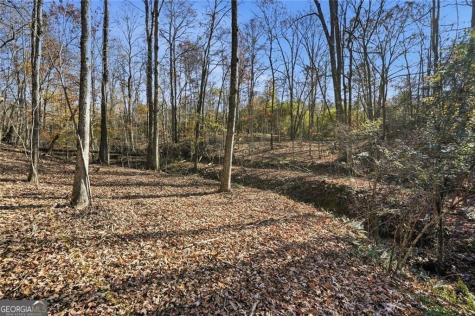 0 Lower Dowda Mill Road Jasper GA 30143