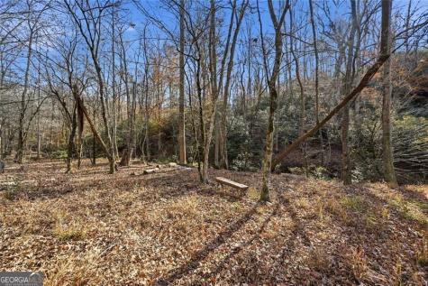 0 Lower Dowda Mill Road Jasper GA 30143