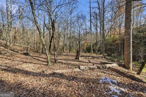 0 Lower Dowda Mill Road Jasper GA 30143