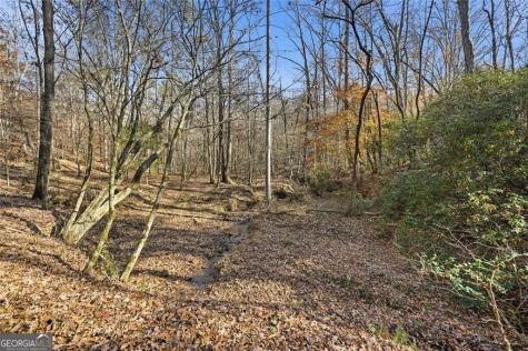 0 Lower Dowda Mill Road Jasper GA 30143