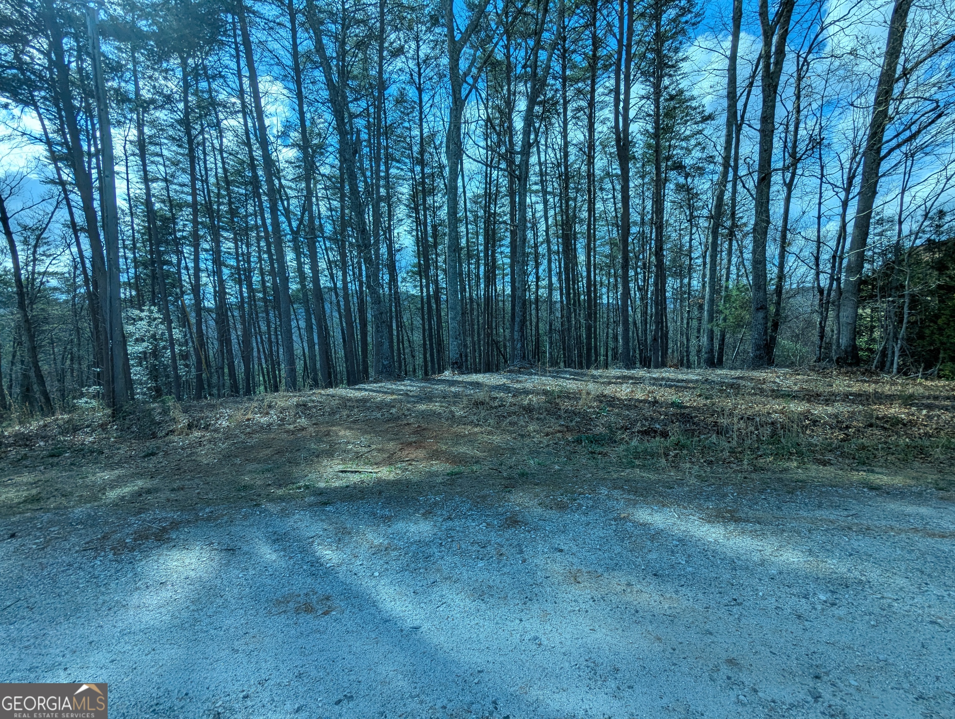 Lt 30-31 Eagle Ridge Road Dawsonville GA 30534