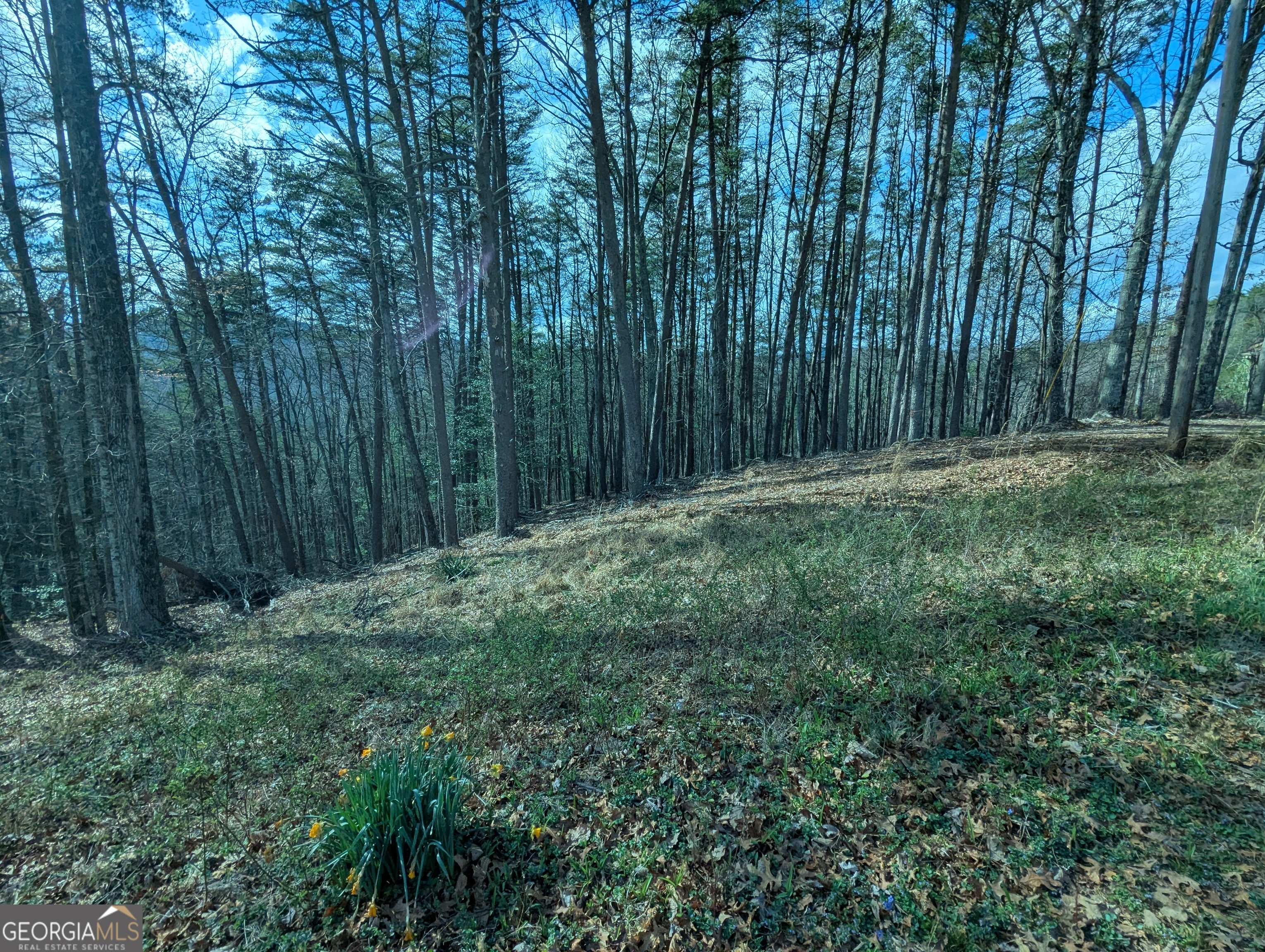 Lt 30-31 Eagle Ridge Road Dawsonville GA 30534