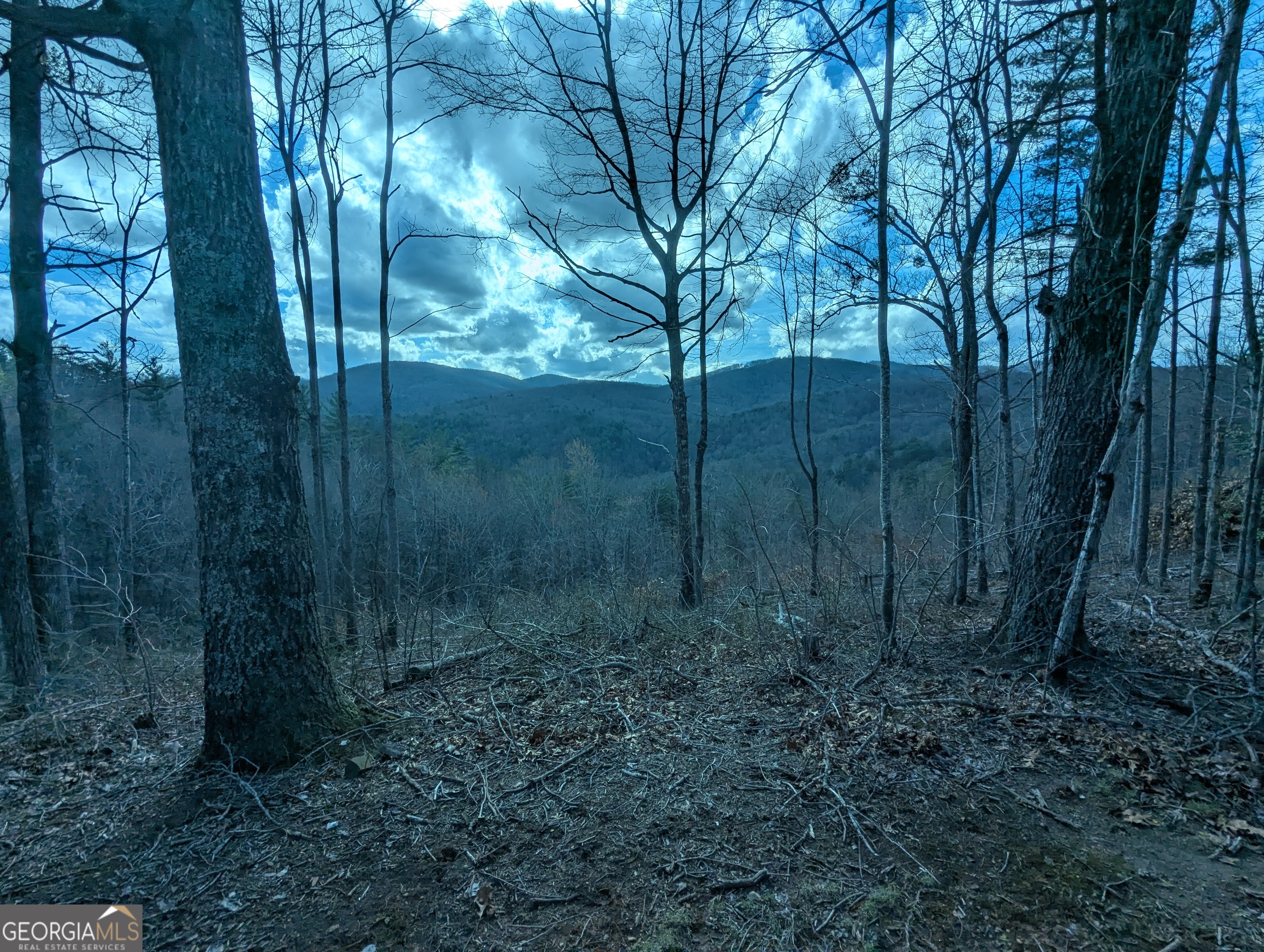 Lt 30-31 Eagle Ridge Road Dawsonville GA 30534