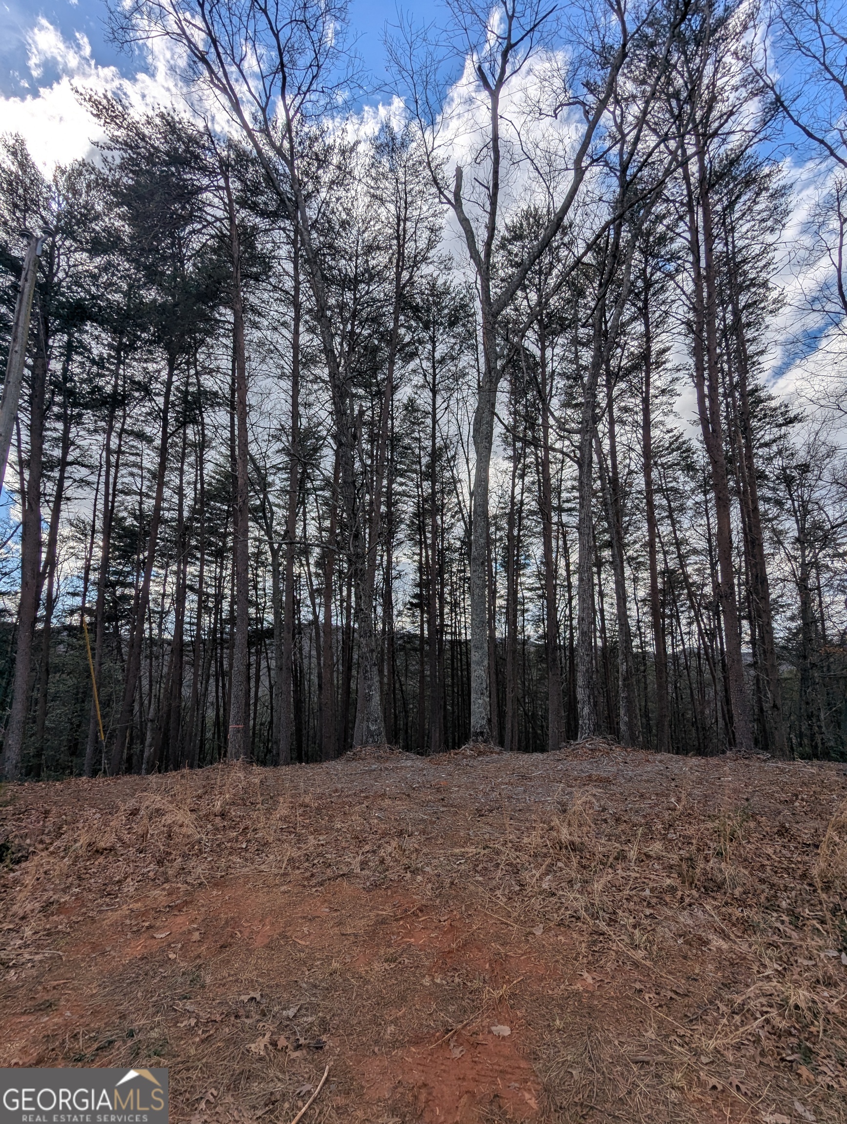 Lt 30-31 Eagle Ridge Road Dawsonville GA 30534