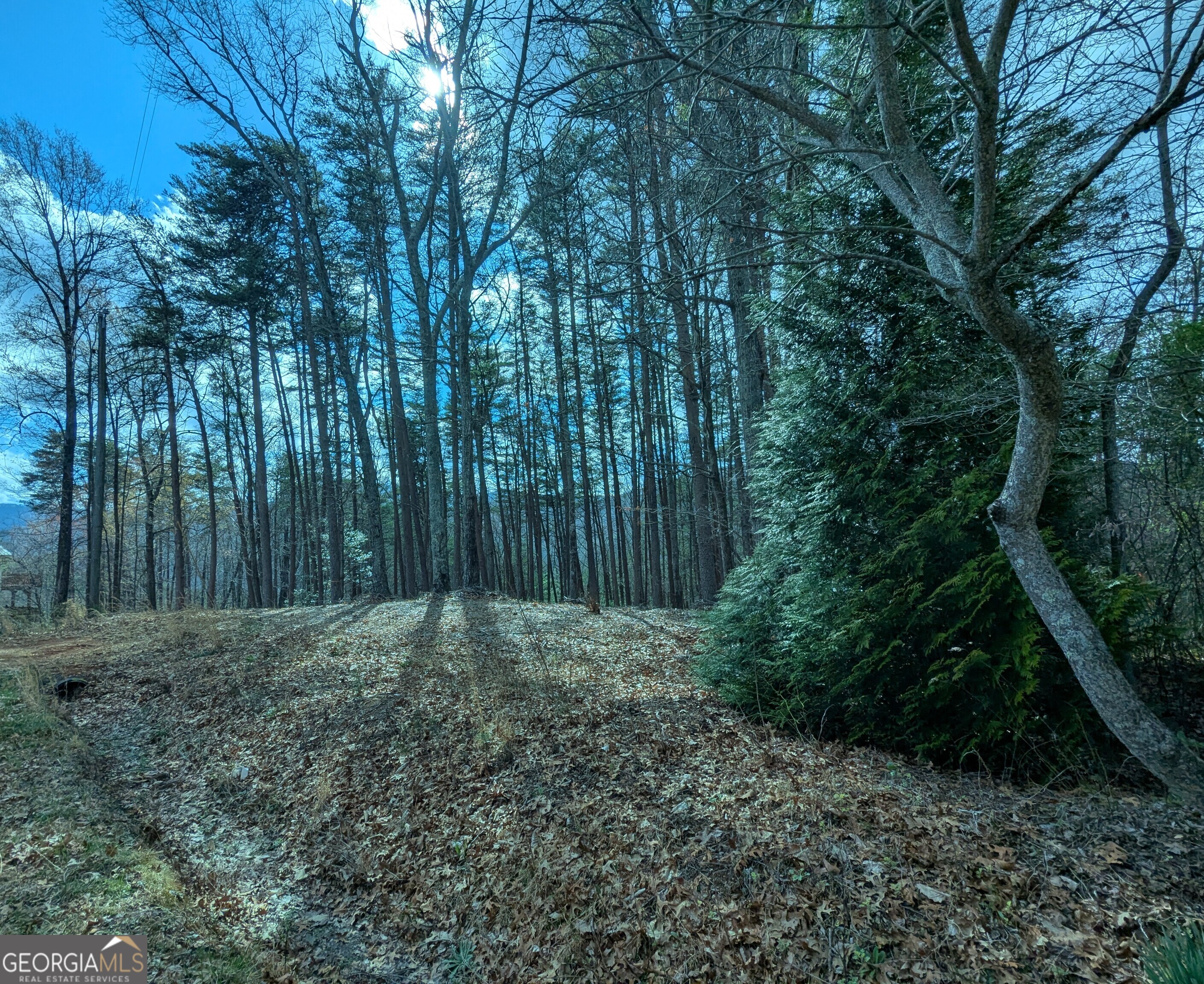 Lt 30-31 Eagle Ridge Road Dawsonville GA 30534