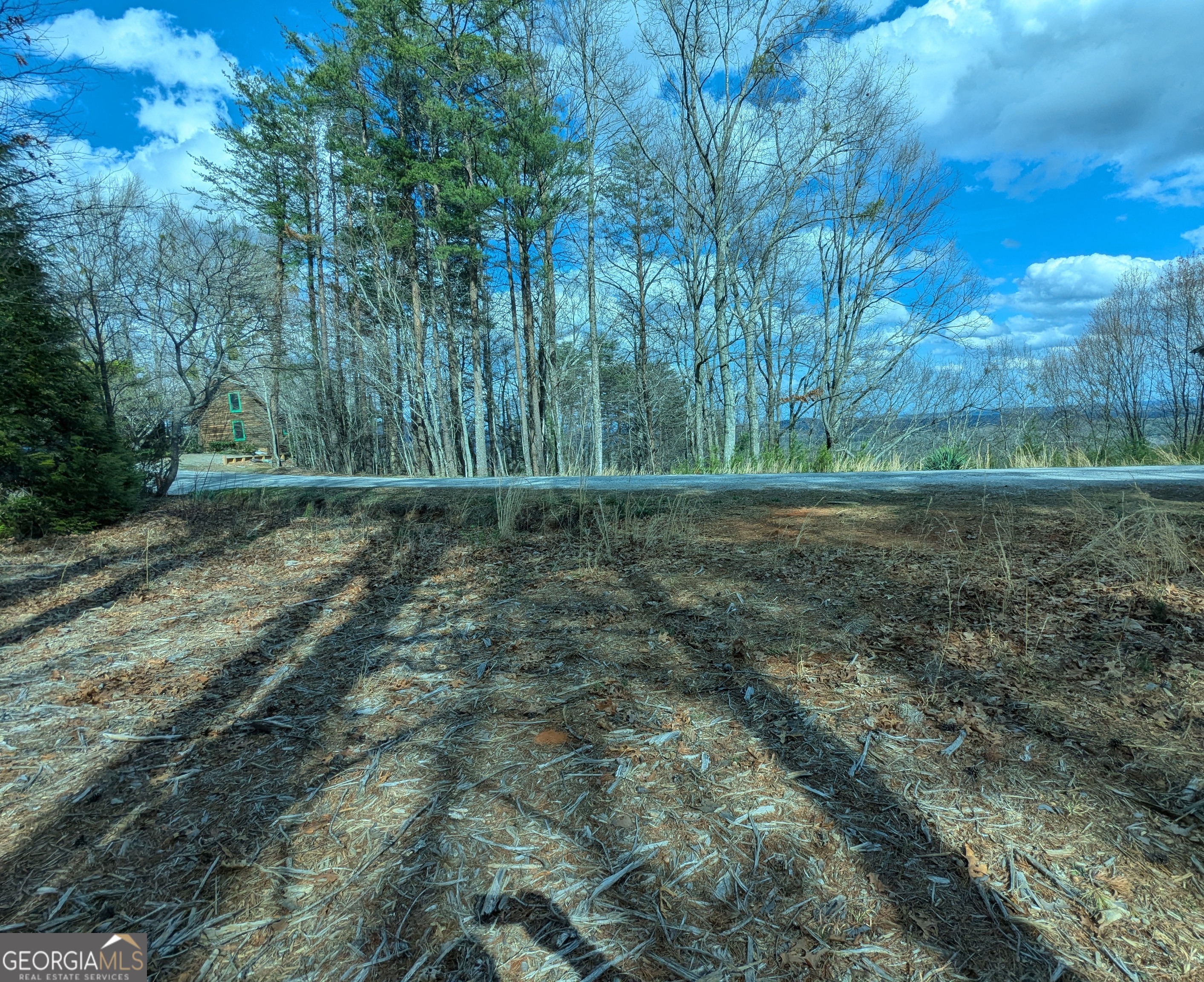 Lt 30-31 Eagle Ridge Road Dawsonville GA 30534