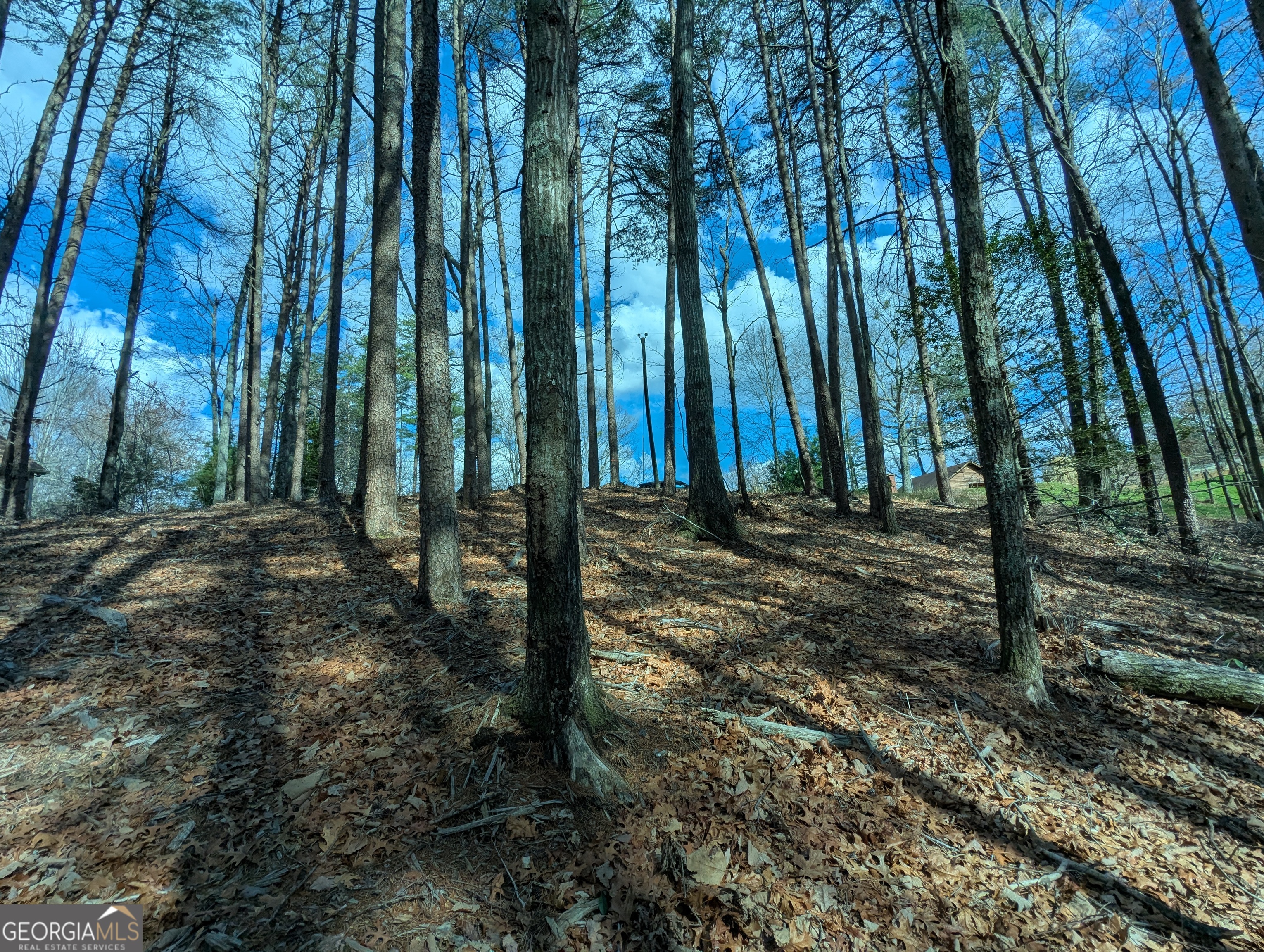 Lt 30-31 Eagle Ridge Road Dawsonville GA 30534