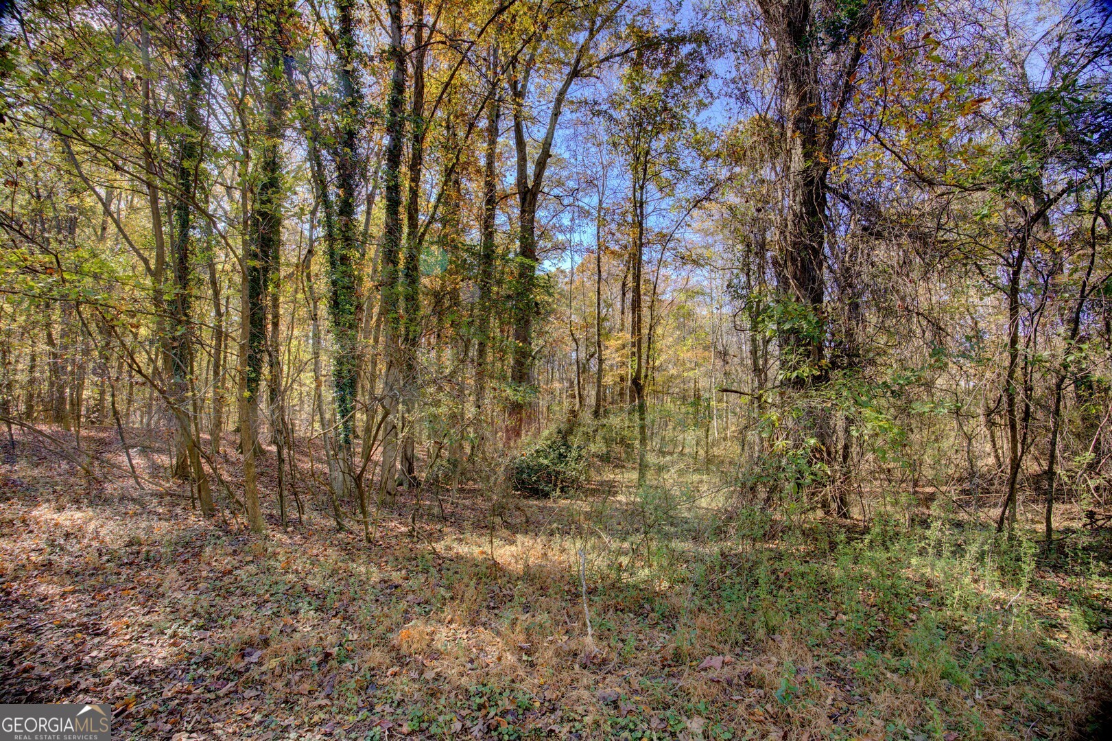 405 W Richardson Street Oxford GA 30054
