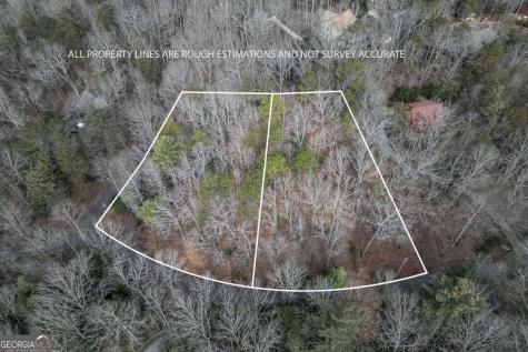 454, 455 Seneca Drive Ellijay GA 30540