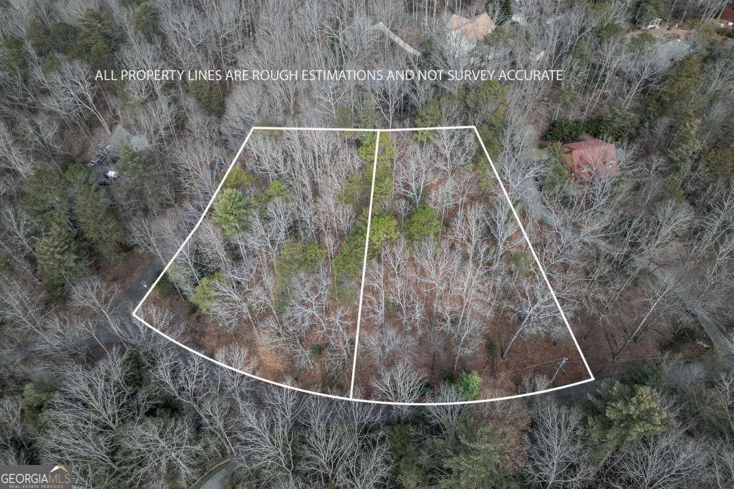 454, 455 Seneca Drive Ellijay GA 30540