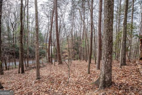 454, 455 Seneca Drive Ellijay GA 30540