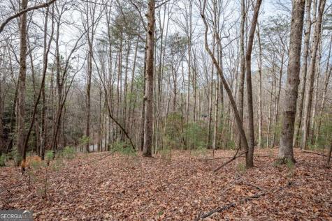 454, 455 Seneca Drive Ellijay GA 30540