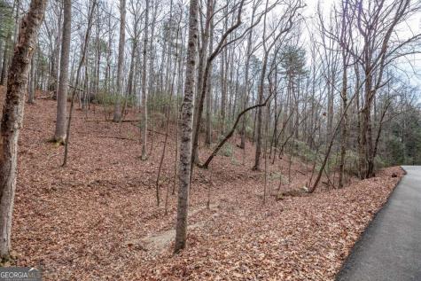 454, 455 Seneca Drive Ellijay GA 30540