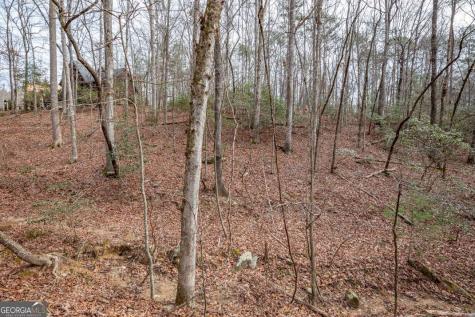 454, 455 Seneca Drive Ellijay GA 30540