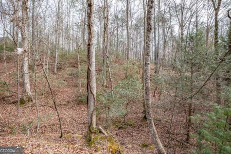 454, 455 Seneca Drive Ellijay GA 30540