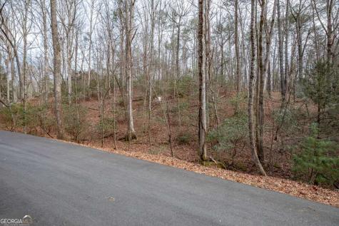 454, 455 Seneca Drive Ellijay GA 30540