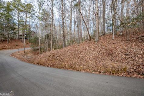 454, 455 Seneca Drive Ellijay GA 30540