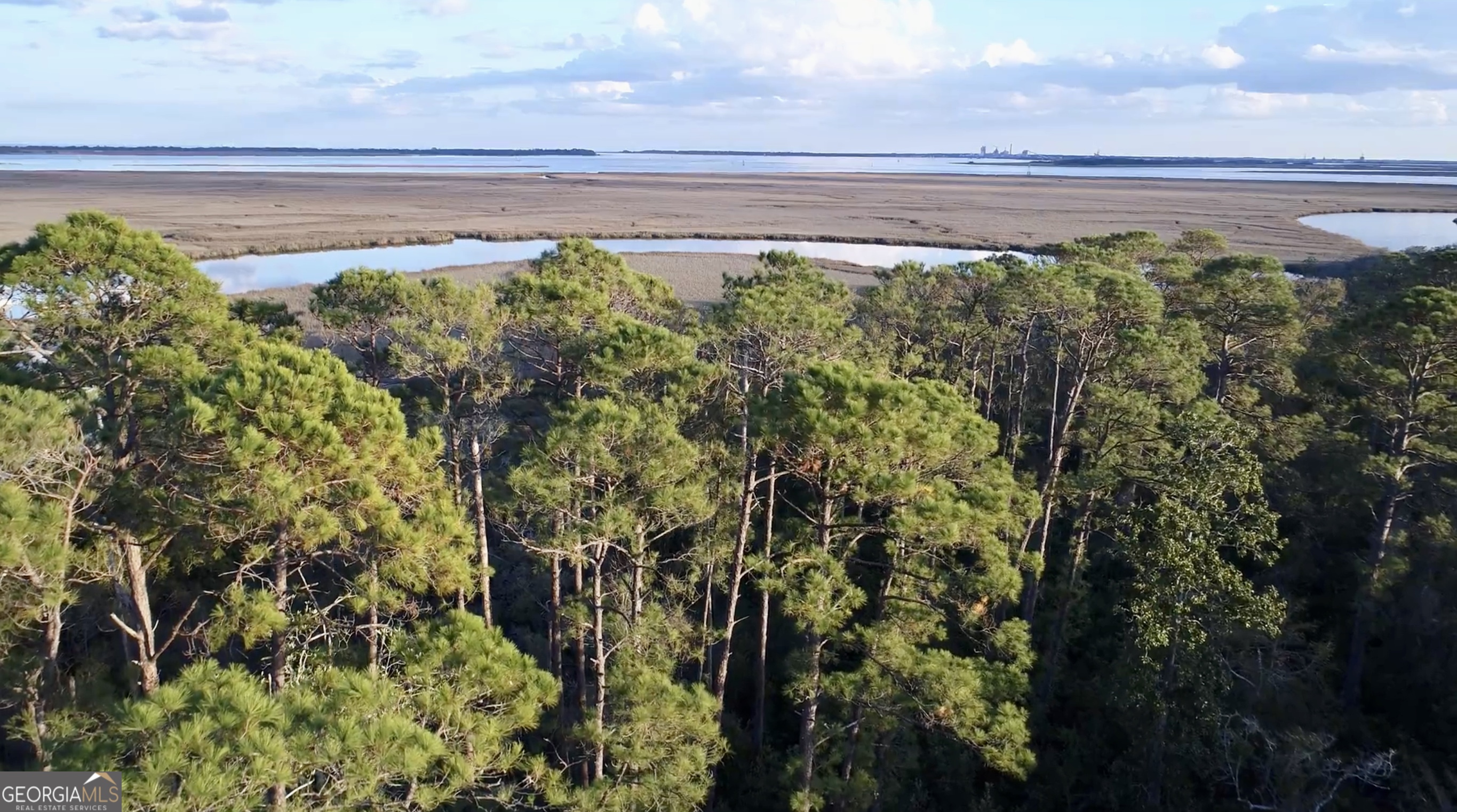 211 Overlook Lane St. Marys GA 31558