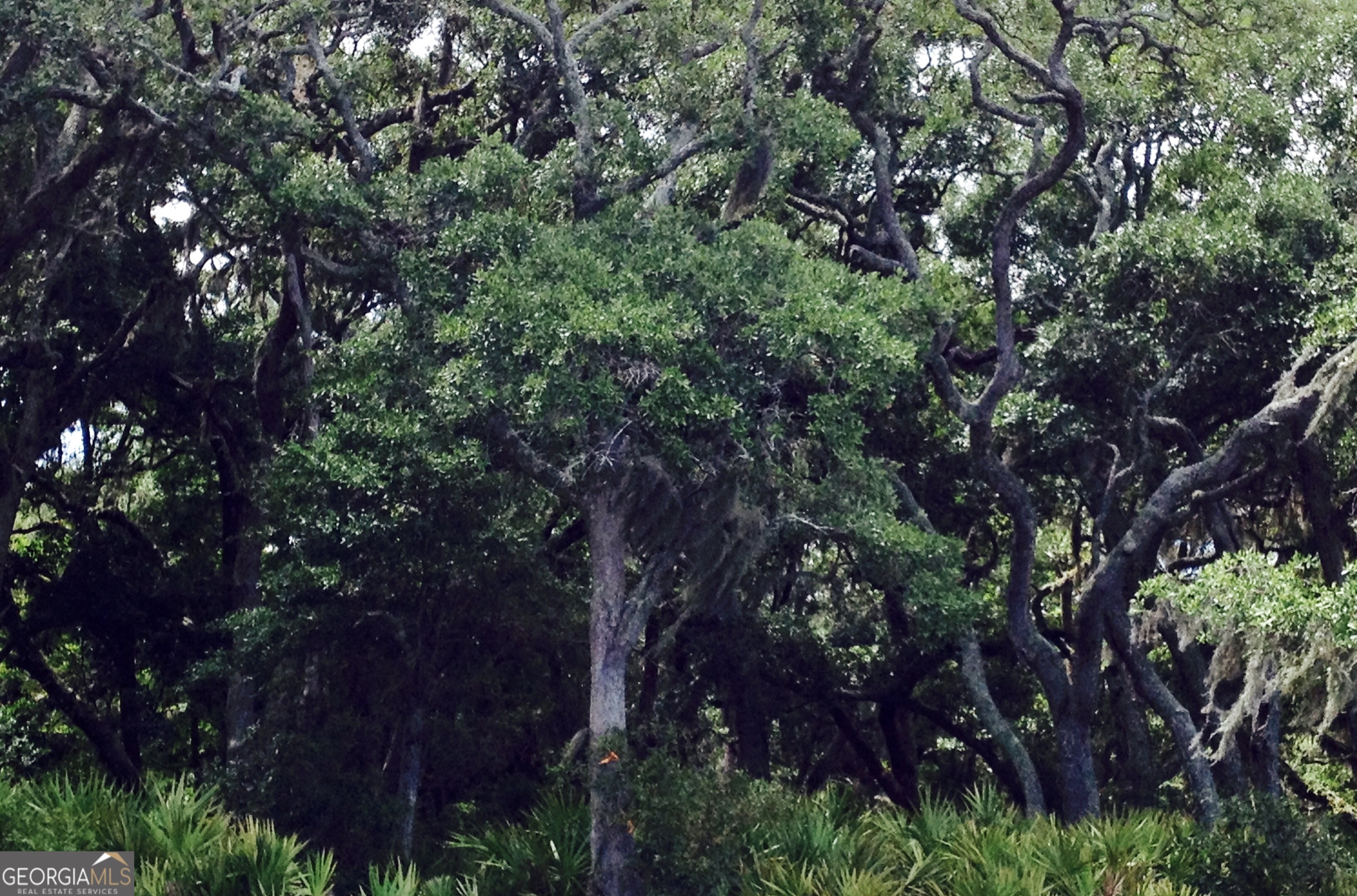 211 Overlook Lane St. Marys GA 31558