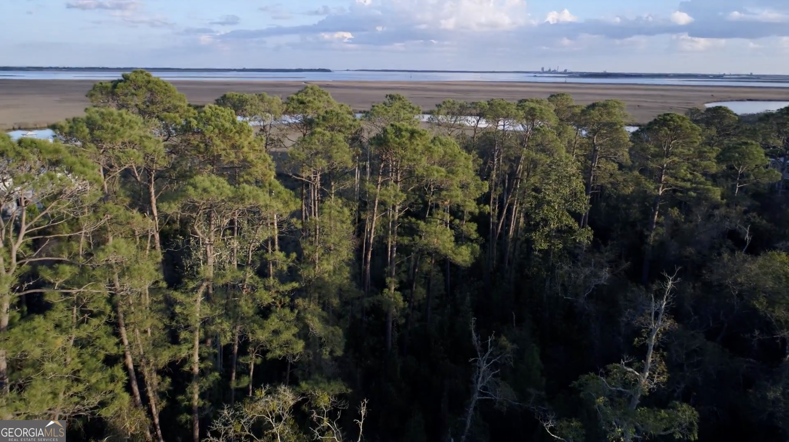 211 Overlook Lane St. Marys GA 31558