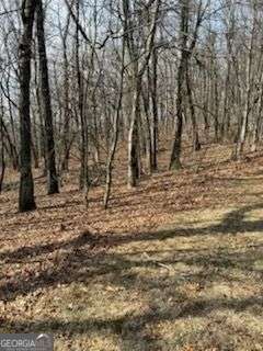 0 Burnt Mountain Ridge Road Jasper GA 30143