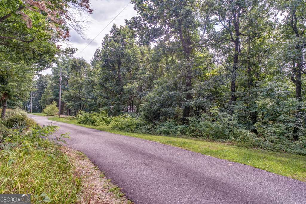 0 Burnt Mountain Ridge Road Jasper GA 30143