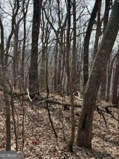 0 Burnt Mountain Ridge Road Jasper GA 30143