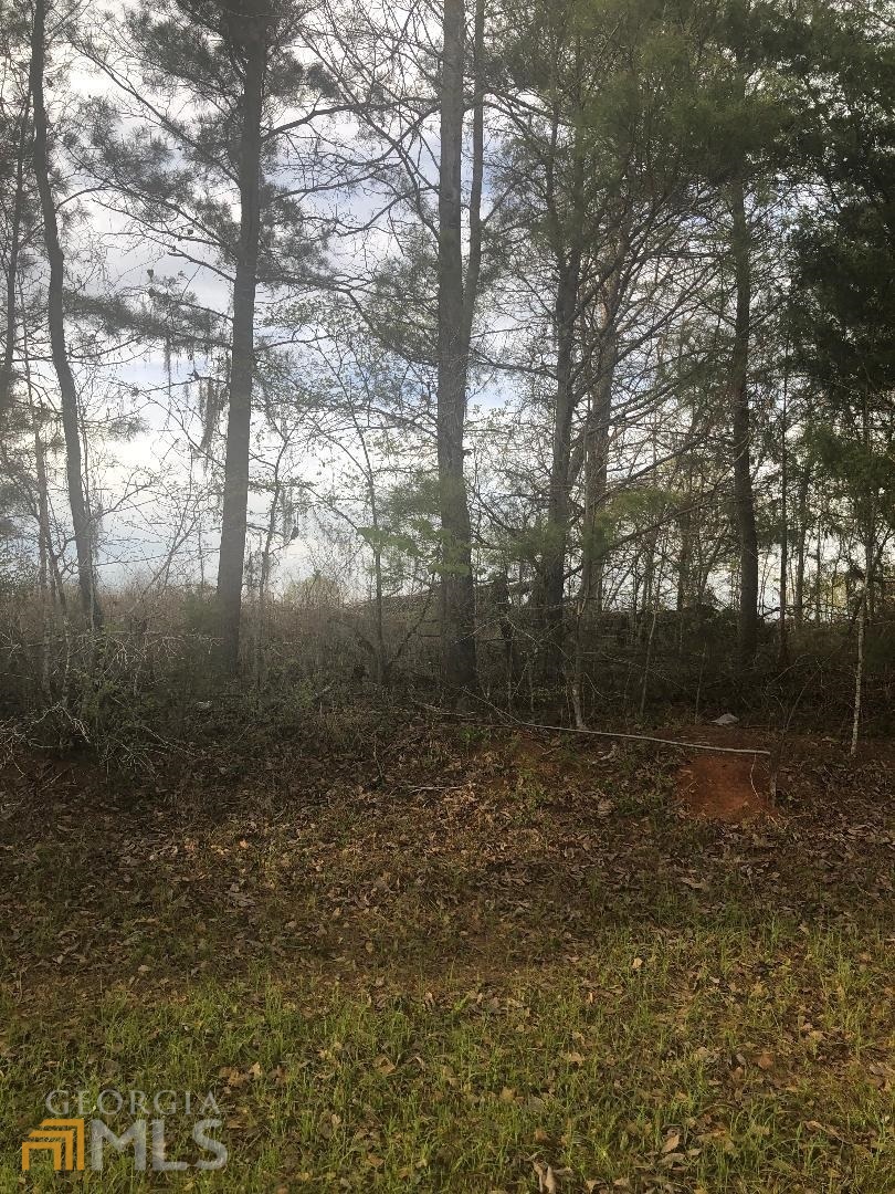 0 Crabapple Drive Hawkinsville GA 31036