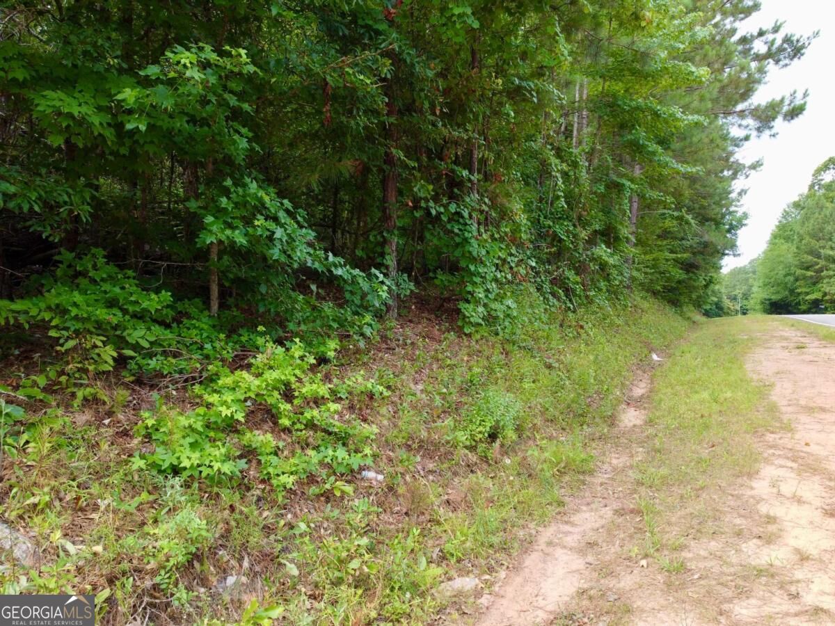 0 Parker Road Covington GA 30014