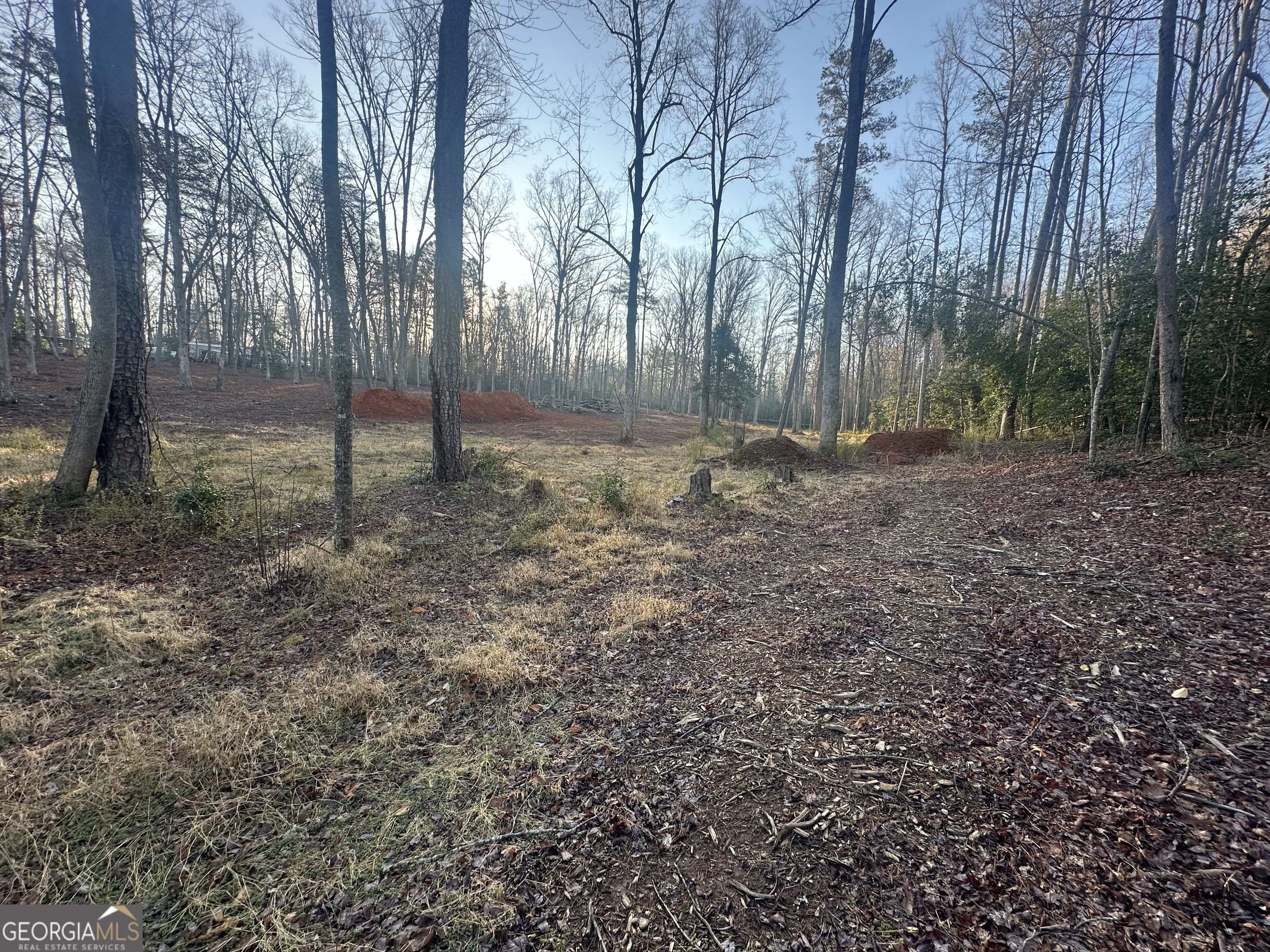 0 Rustic Beaver Road Clarkesville GA 30523