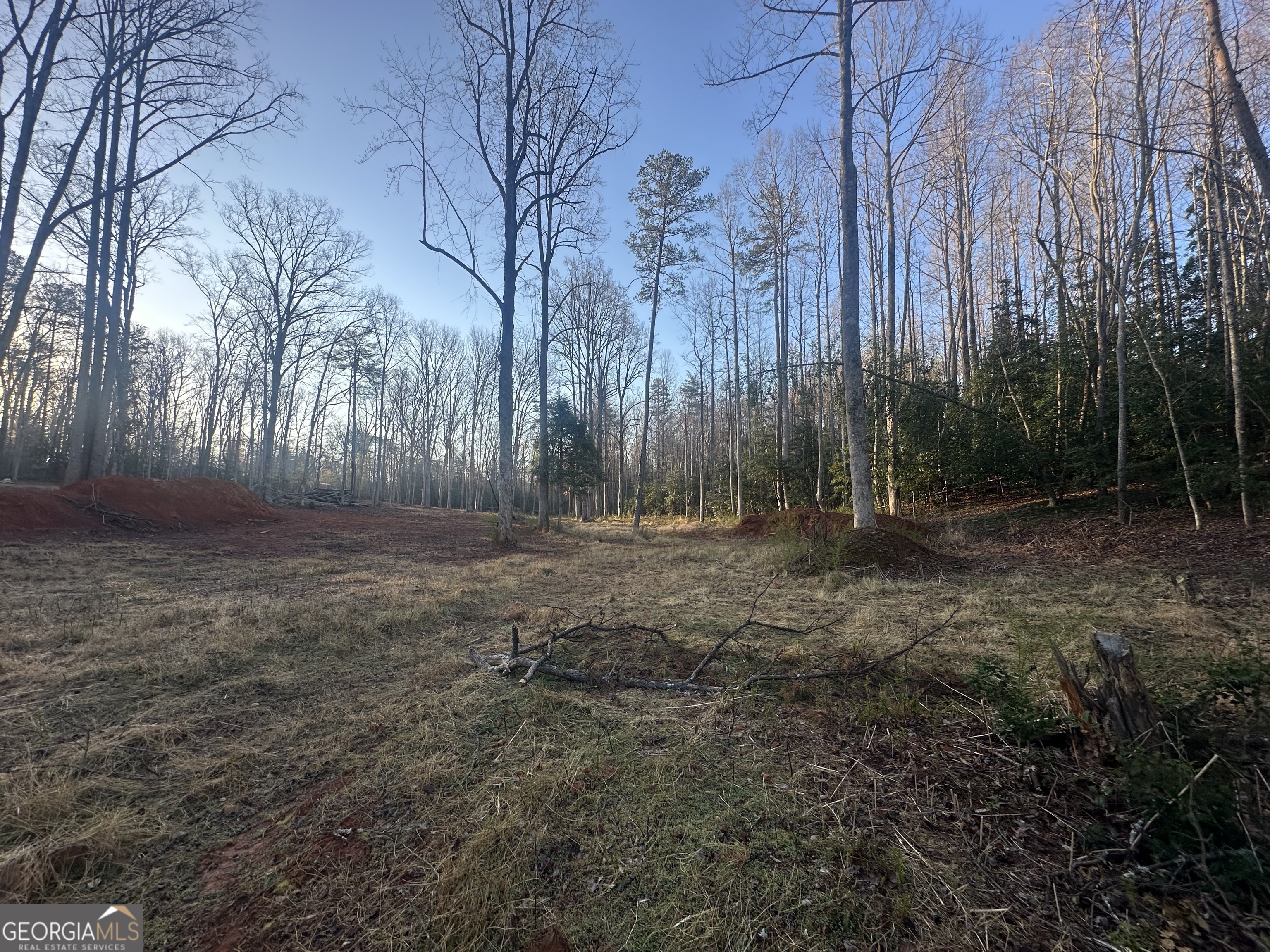 0 Rustic Beaver Road Clarkesville GA 30523