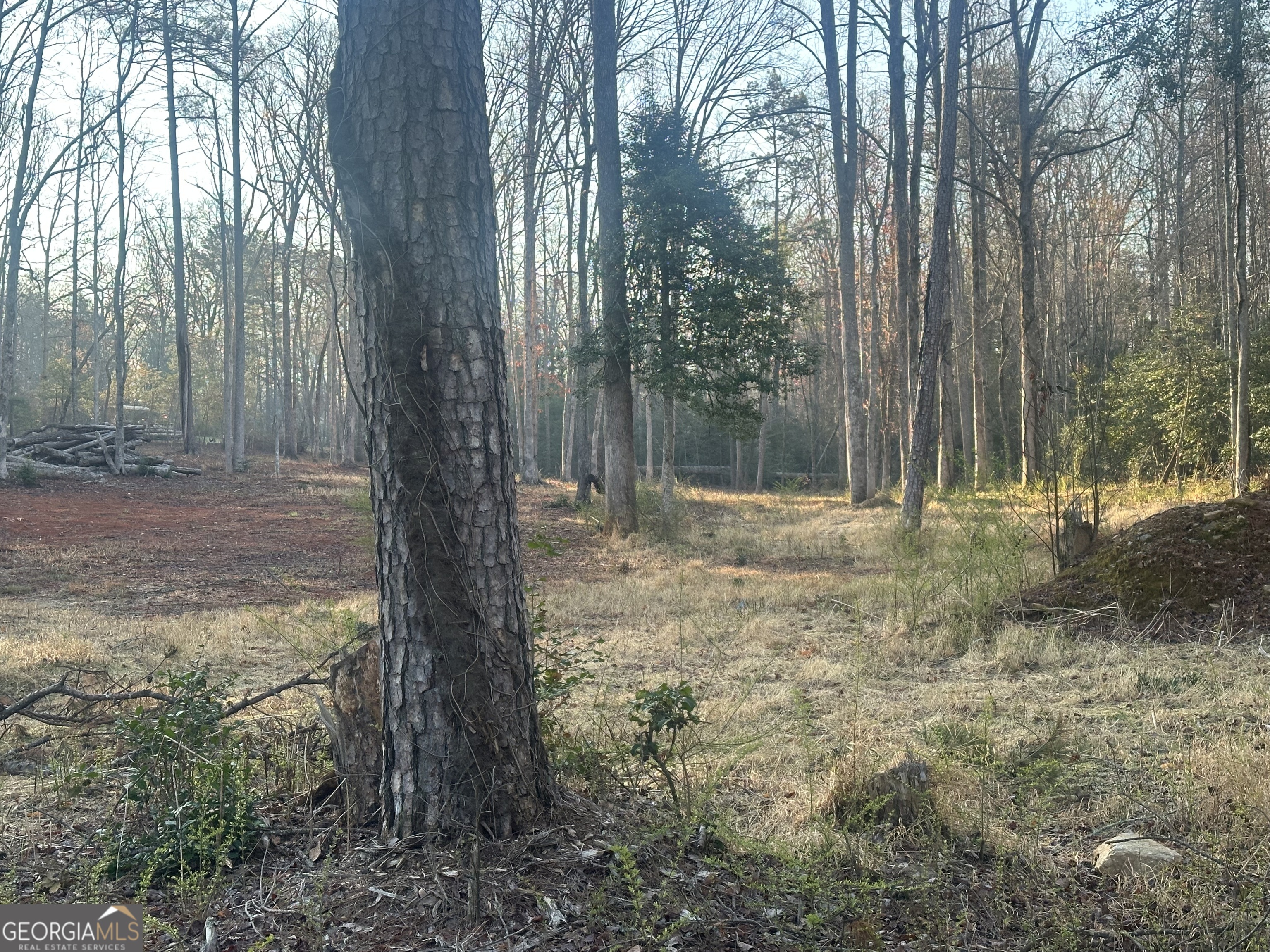 0 Rustic Beaver Road Clarkesville GA 30523