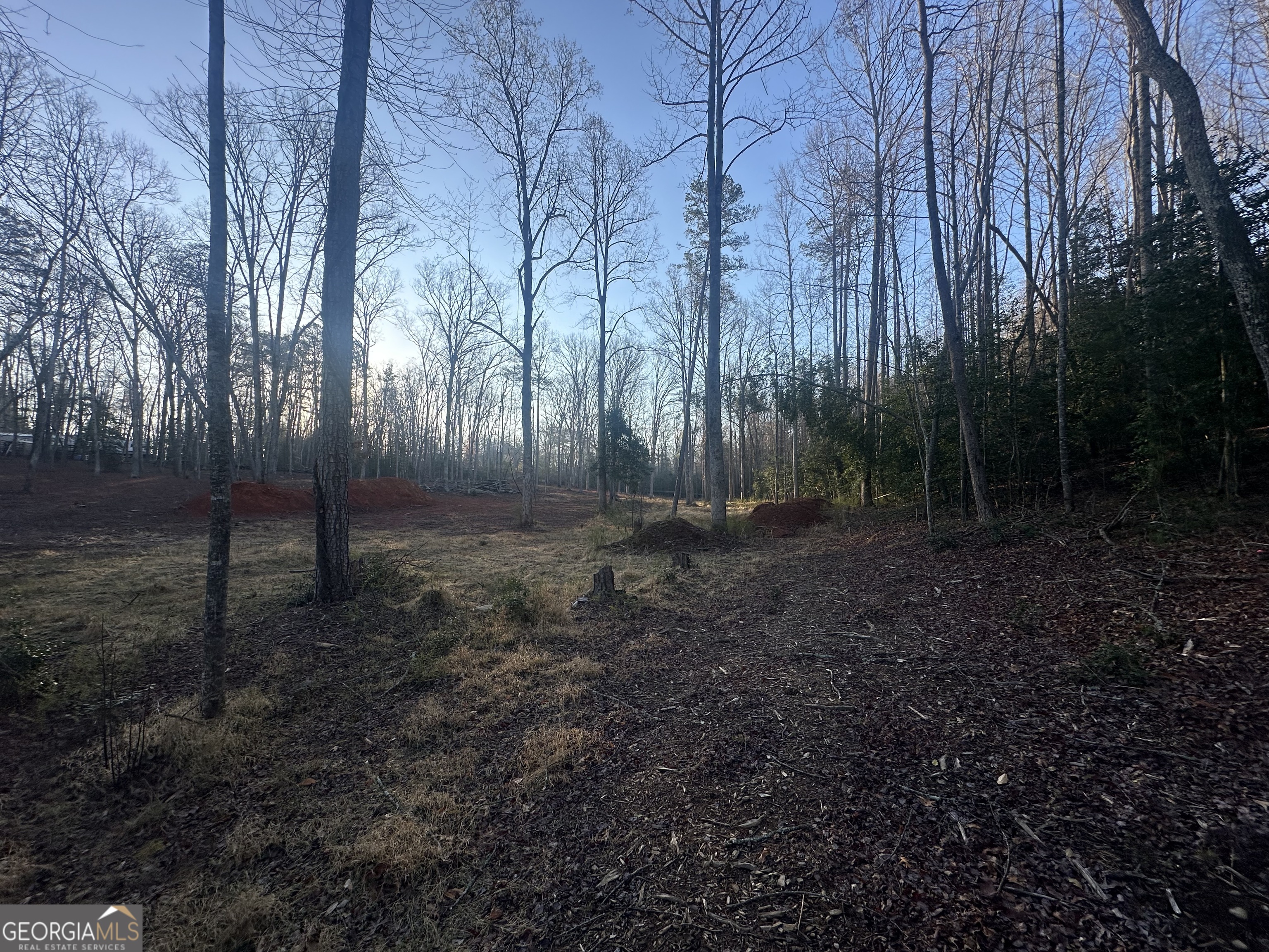 0 Rustic Beaver Road Clarkesville GA 30523