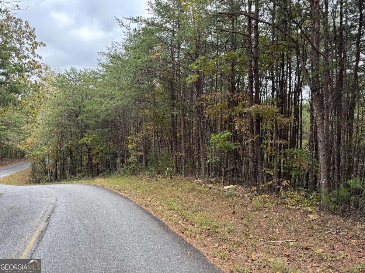 0 Cagle Road Fairmount GA 30139