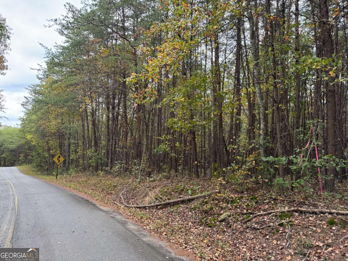 0 Cagle Road Fairmount GA 30139