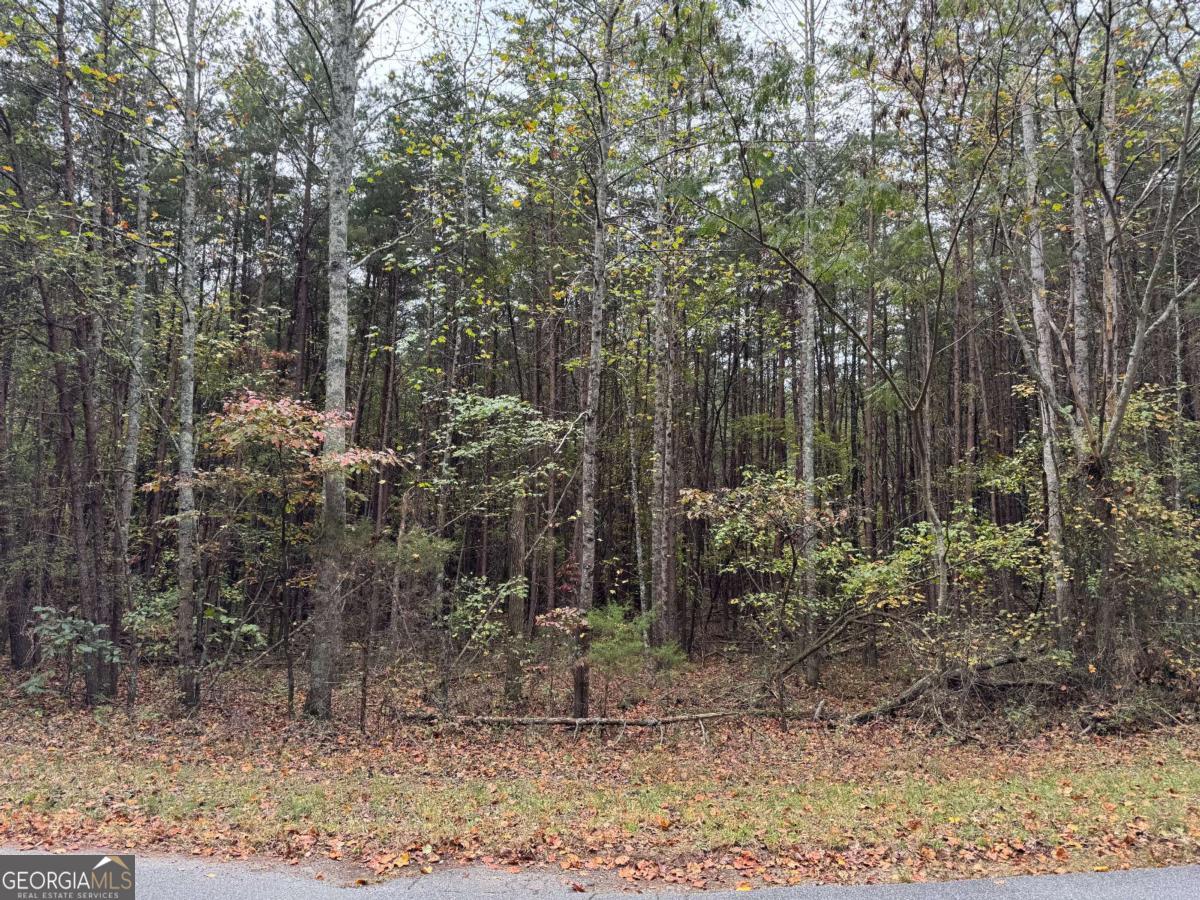 0 Cagle Road Fairmount GA 30139