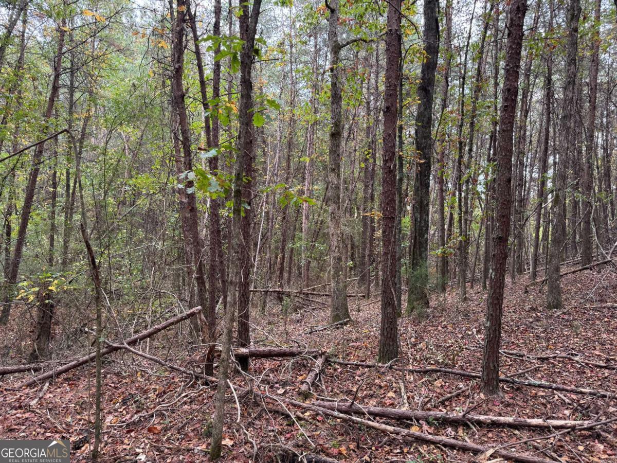 0 Cagle Road Fairmount GA 30139