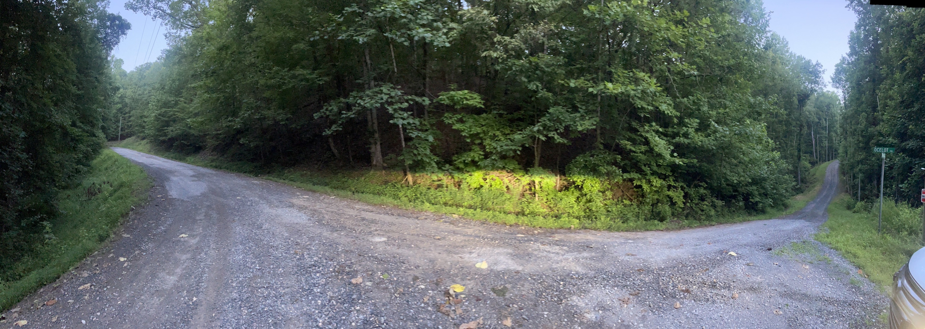 546 Myriad Way Ranger GA 30734